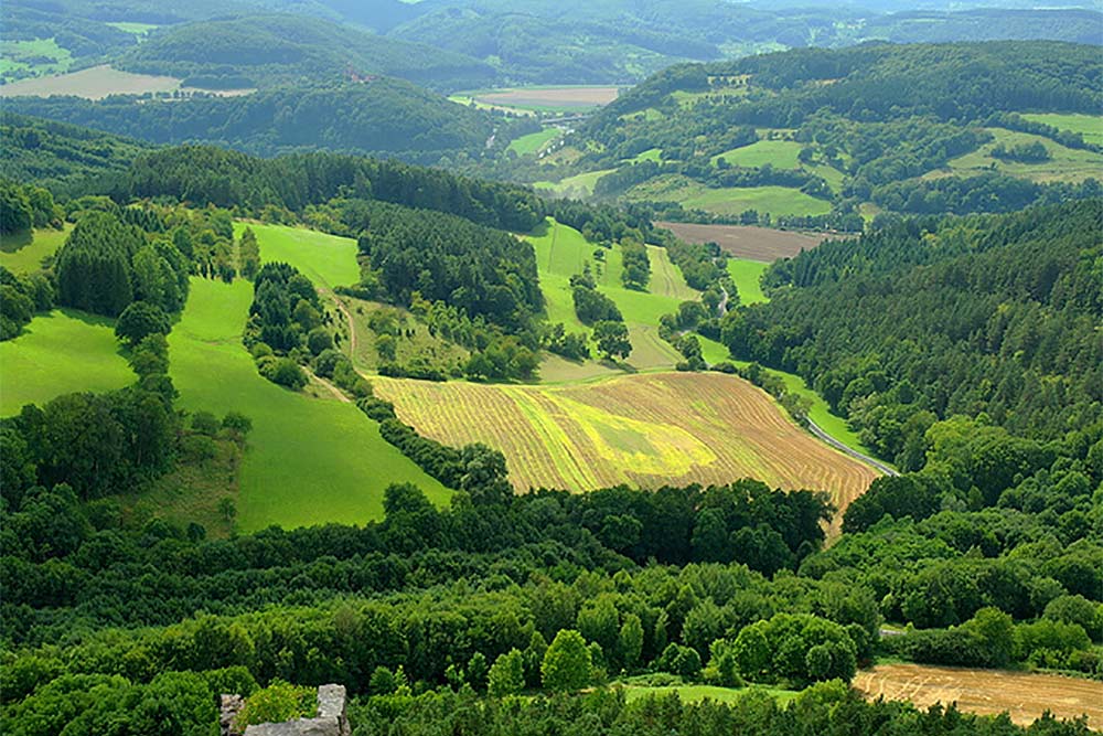 Abbildung: Thüringer Landschaft